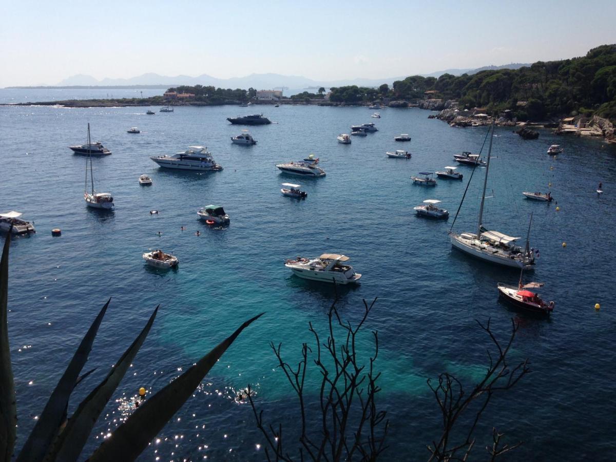 Coup De Coeur! Vue Mer! Terrasse Dangle! Antibes Eksteriør bilde